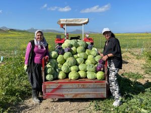 Kurtuluş köyünde sulu tarım meyvelerini verdi