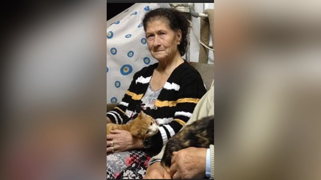 Yurdanur Sözen, hayatını kaybetti