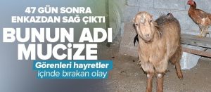 Sahibi gözlerine inanamadı<a href=