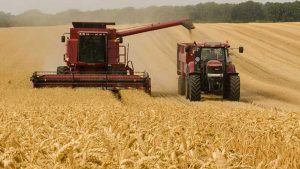 Yol kenarlarının hasat edilmesi için duyuru