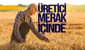 İthal edilecek sertifikalı tohumluğa verilecek destek de yükseltildi 