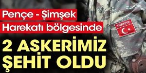 Pençe-Şimşek Harekatı bölgesinde iki asker şehit oldu