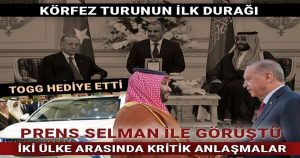 Erdoğan, Körfez turunda