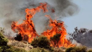 KKTC’de bir haftada 25 yangın