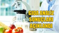 Gıda denetim sonuçları açıklandı…