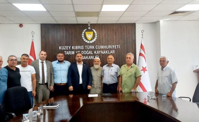 Harup üretimi, sorunları ve çözüm önerileri görüşüldü