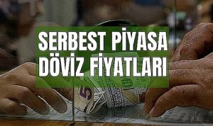 Dövizde Son Durum Ne?