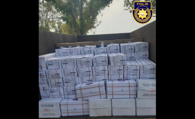 Lefkoşa Polis Müdürlüğü’nden operasyon