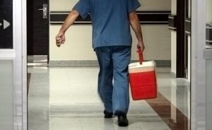 Sağlık Bakanlığı: Organ nakilleri, hayatları değiştirebilecek tıbbi bir mucizedir