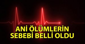 Polisten 2 ani ölümle ilgili açıklama