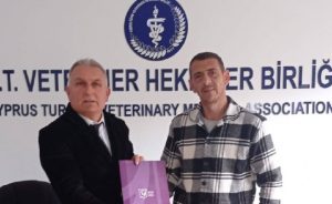 500 Sokak hayvanı yüzde 50 indirimli kısırlaştırılacak!