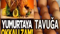 Bir zam daha… Tavuk ve yumurtaya okkalı zam!