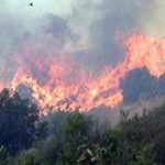 Baf ve Limasol’da orman yangını