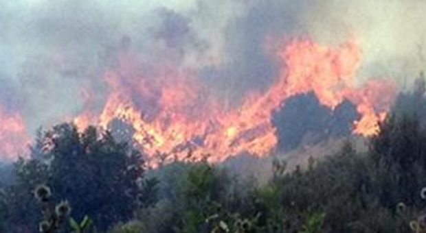 Baf ve Limasol’da orman yangını