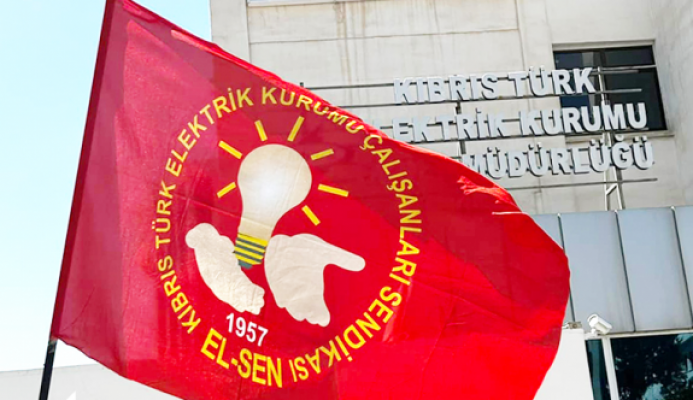 El-Sen: “Ülkemize kabloyla elektrik getirilecekse, bu devlet tarafından idame ettirilmeli”