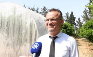 Karaca: Narenciye zararlısına karşı biyolojik mücadele başlatıldı