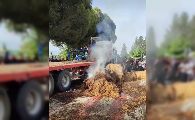 Eylem devam ediyor: Balyalar ateşe verildi