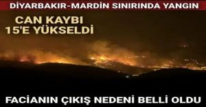 Diyarbakır-Mardin sınırındaki yangında can kaybı 15’e yükseldi | Bilirkişi raporu: Yangın elektrik direği kaynaklı