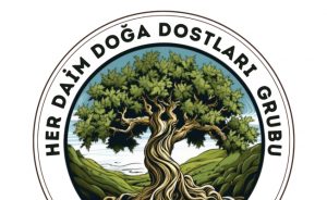 Yarın kaplumbağa yumurtlama alanı tespiti ve biyoçeşitlilik inceleme yürüyüşü yapılacak