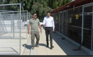 Amcaoğlu: Hayvanlarımız artık daha güvende ve daha mutlu