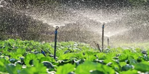 İEZB-MEM ve Telsim İşbirliğinde Robotik Kodlama Eğitimi Alan Gençler Haşare İle Mücadele Dronu İle Otomatik Damlama Sulama Sistemi Üzerinde Çalışmalarına Başladı