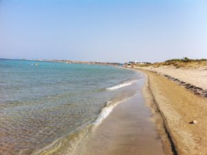 Plajların analiz sonuçları açıklanmaya devam ediyor