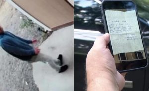 “Kibar” hırsız, yemek ve temizlik yaptı, not bırakıp gitti