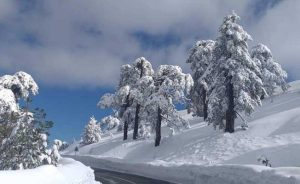 Trodos’ta Kar ve Fırtına Alarmı: Pazar Gününe Kadar Dikkat!
