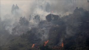 Şili’nin Araucania bölgesindeki orman yangını nedeniyle 2 bin kişi tahliye edildi