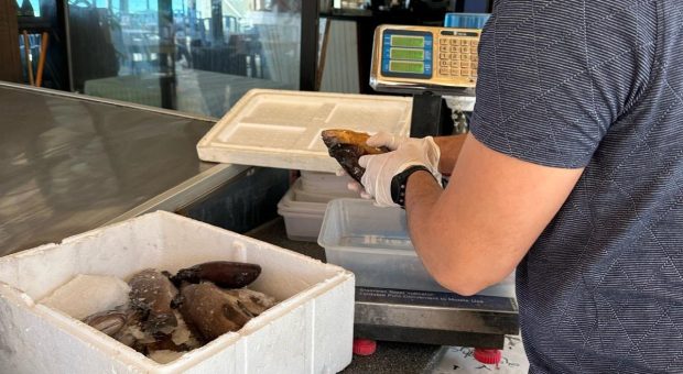  Tarım Bakanlığı bazı deniz ürünlerine el koydu