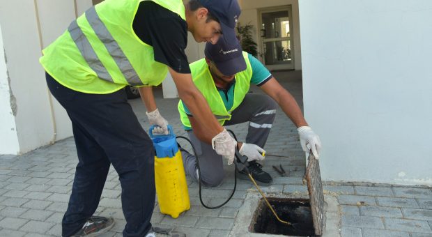 LTB hamamböceği ilaçlama çalışmalarını Taşkınköy’de sürdürüyor