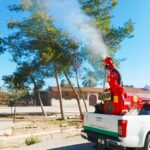 Mesarya Belediyesi çam kese böceğine karşı ilaçlama çalışmalarını tamamladı