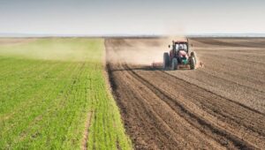 2025-2026 üretim yılı tazminat ödemeleri ve Doğrudan Gelir Desteği için son başvuru tarihi 27 Şubat…