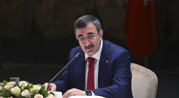 “Biz, Kıbrıs Türklerini hiçbir zaman yalnız bırakmadık, bundan sonra da bırakmayız”