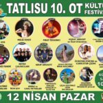Tatlısu 10. Ot Kültür Festivali 12 Nisan Pazar günü yapılacak
