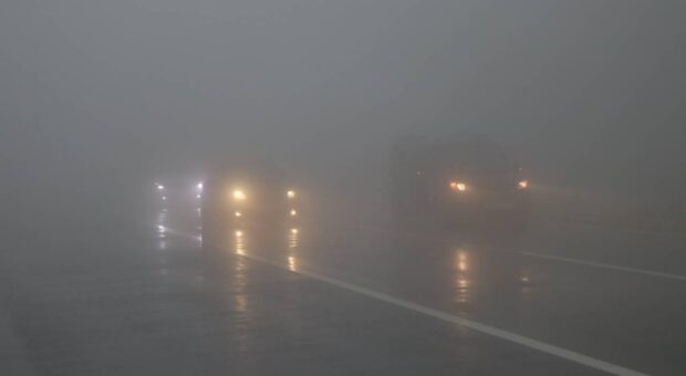 Yarın ve cuma sabah saatlerinde sis, pazar yağmur bekleniyor…