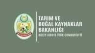 DÜÇ’ten kasaplık hayvan satışı duyurusu
