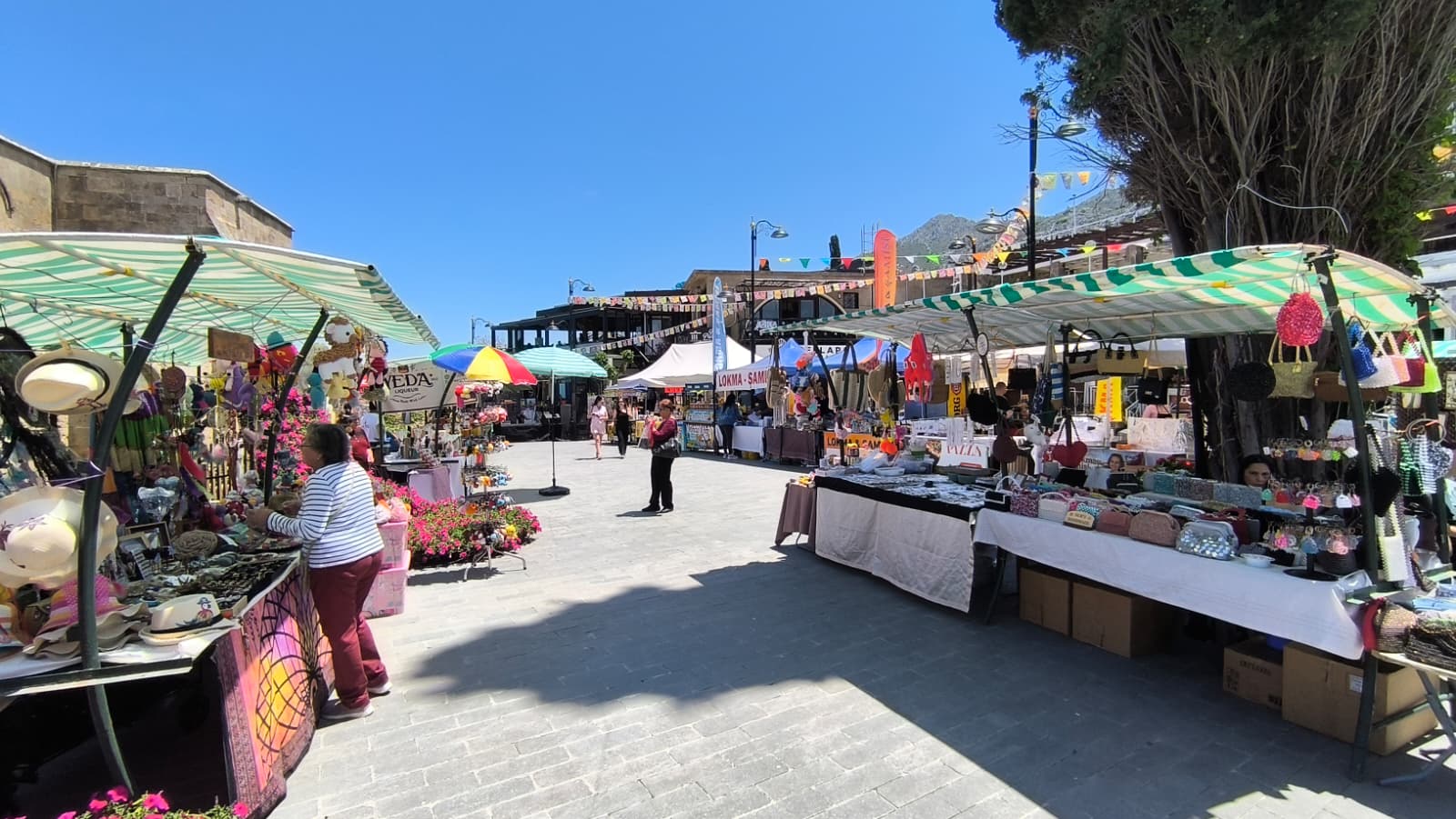 21. Kıbrıs İpek Koza Festivali başladı…