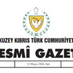 Onur Tümtürk, Para Kambiyo Dairesi Müdürü oldu