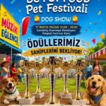 Alagadi’de evcil hayvanlar için festival düzenleniyor