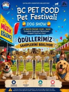 Alagadi’de evcil hayvanlar için festival düzenleniyor