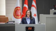 “Ülkenin dijital güvenliği ciddi bir güvenlik meselesi”