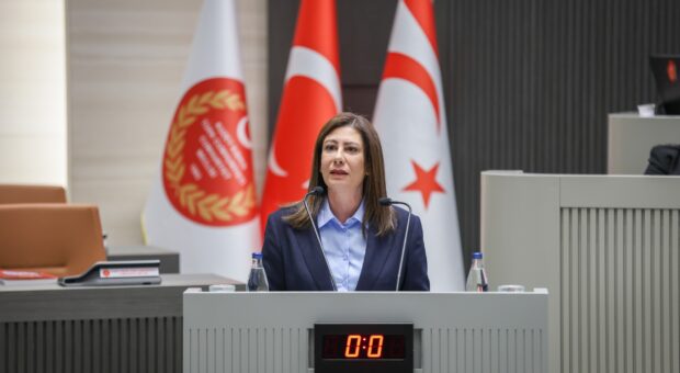 “Ülkenin dijital güvenliği ciddi bir güvenlik meselesi”