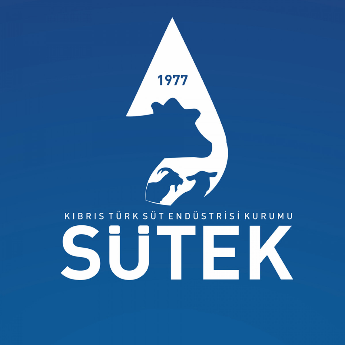 SÜTEK 16-31 Mayıs dönemi süt bedellerinin ödemesini yaptı