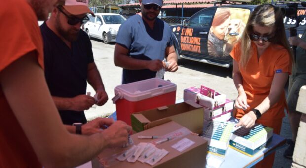 Lefkoşa Barınağı’ndaki hayvanlara sağlık kontrolü